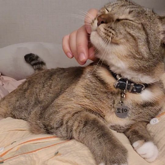 쏘 러블리 💕