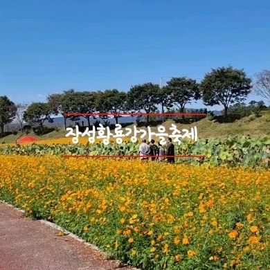 💚장성!

🎈황룡강축제
🩷10월 7~15일까지
🌈주차장있음
🎈입장권 없음!