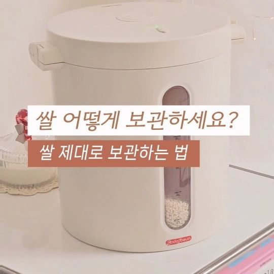 ​#협찬 

쌀 제대로 보관하려면?

포대째 보관하거나 지퍼백이나 냉장 보관을 많이들 하시는 데요.
내부공기와 외부공기의 온도차가 크다거나,
혹은 쌀이 공기에 쉽게 접촉되는 경우~ 쌀 보관에 용이하지 않아요.

그래서 필요한 것이 바로 진공쌀통!

초강력 진공 압축능력을 가진 보다조은 UVC 진공쌀통은 물세척도 용이하고 UVC 살균까지 가능한 제품이에요

덕분에 위생적으로 쌀보관하여 맛있는 밥을 지을 수 있답니다.

이 외에도 반려동물 사료통이나 건조식품들도 보관이 가능하니까 요모조모 쓸모 많겠죠?

#진공쌀통 #강아지사료통 #쌀보관통 #진공쌀통10kg #사료통 #진공사료통 #진공쌀통추천 #진공쌀통후기