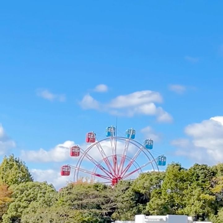 일본소도시 놀이동산&동물원 영상버전 🎡🫧
.
.
.
📍 わんぱーくこうち
(6 Chome-9-1 Sanbashidori, Kochi, 781-8010 일본)