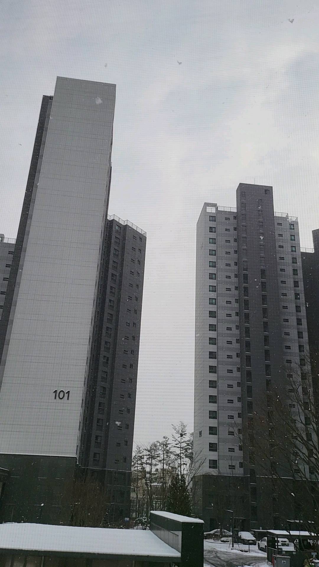 #눈 #펑펑 #폭설 #결항이겠네
