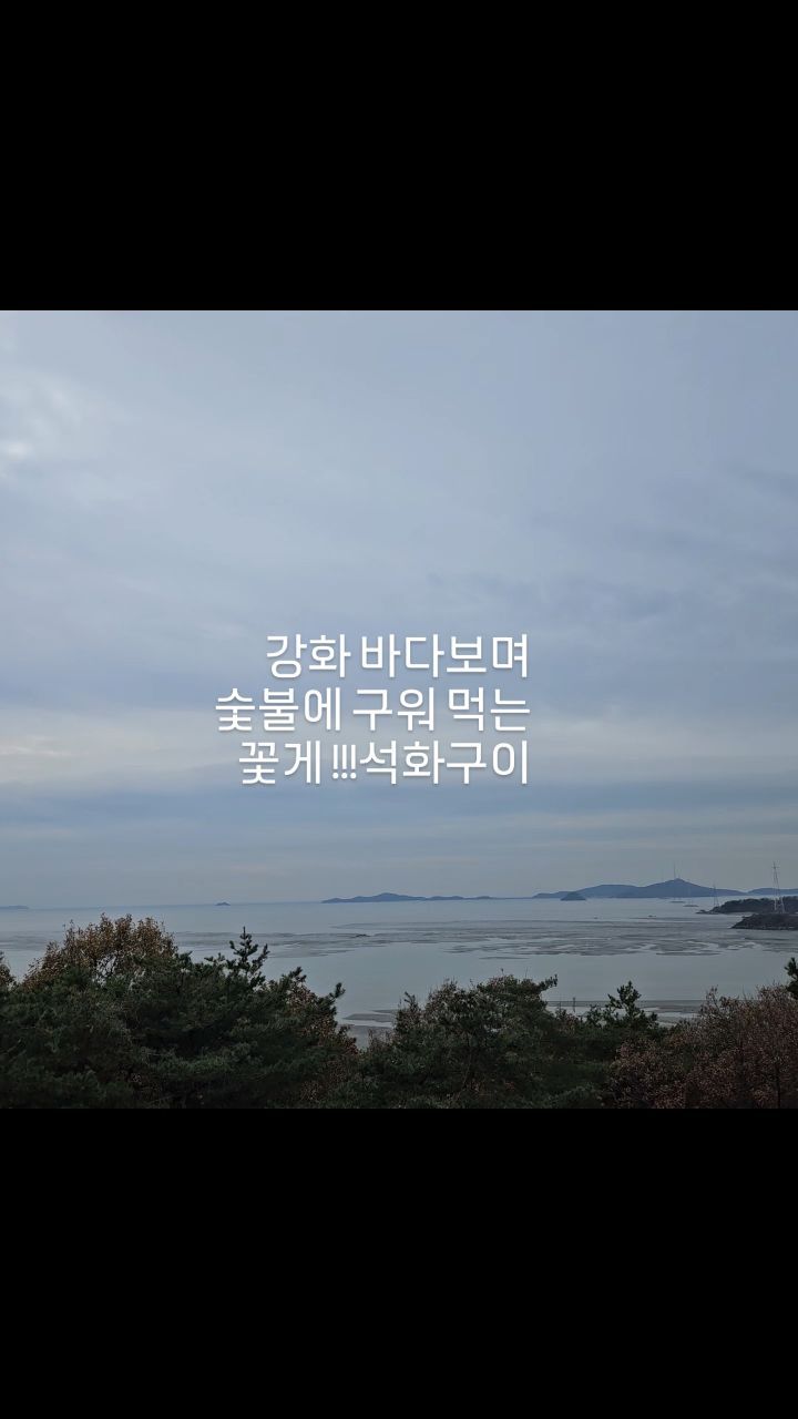 콘텐츠
