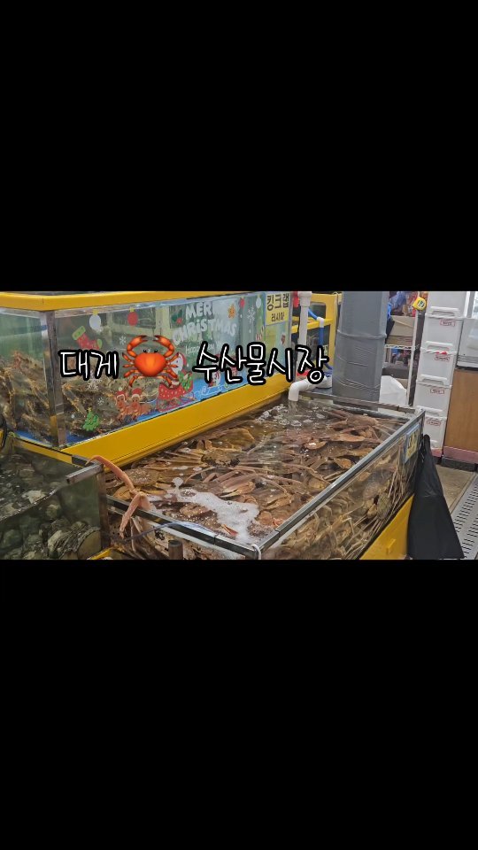 #수원수산시장 
#대게 
#crab #seafood 
#yummy #yes
.
대게 4kg 손질다해서 오니
세상편하긴하네
볶음밥까지 야무지게
#잘먹었습니다