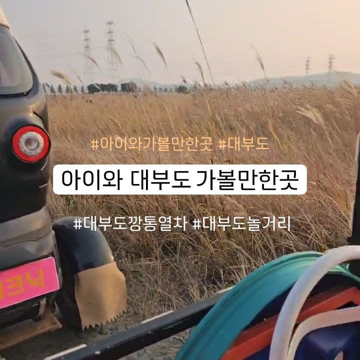 #아이와가볼만한곳 👋

#경기도가볼만한곳 #대부도 에요 🏝
바다도 보고 해물칼국수에 파전도 먹지만

#소금빵 먹고 #대부도깡통열차 🚂 타고왔어요
카페에서 운영하는곳 인데요

아이들 너무좋아해요 물론 저도 재밌었어요😝
#덜컹덜컹 타는재미 뻥뚤린 하늘과 노을 보는재미
중간에 포토스팟에서 사진도 찍어주신답니다

#내돈내산  이지만 #육아정보 공유해요

👉 상호는 #대부도함초소금빵 #함초당&알로하피크닉
  경기 안산시 단원구 대부황금로 1506
👉 깡통열차 이용료는 1인6,000원입니다
👉 열차는 매시간 정각마다 있어요

#육아맘 #대부도여행 #대부도카페 #대부도핫플 #아이와대부도#경기도가볼만한곳 
#아이와함께가볼만한곳 #아이와여행 #안산가볼만한곳 #안산아이와갈만한곳 
#안산놀거리 #대부도놀거리#육아소통 #아이와당일치기#서울근교나들이#주말나들이 #아이와당일여행#대부바다향기테마파크#방아머리해수욕장 #대부도베이커리카페
