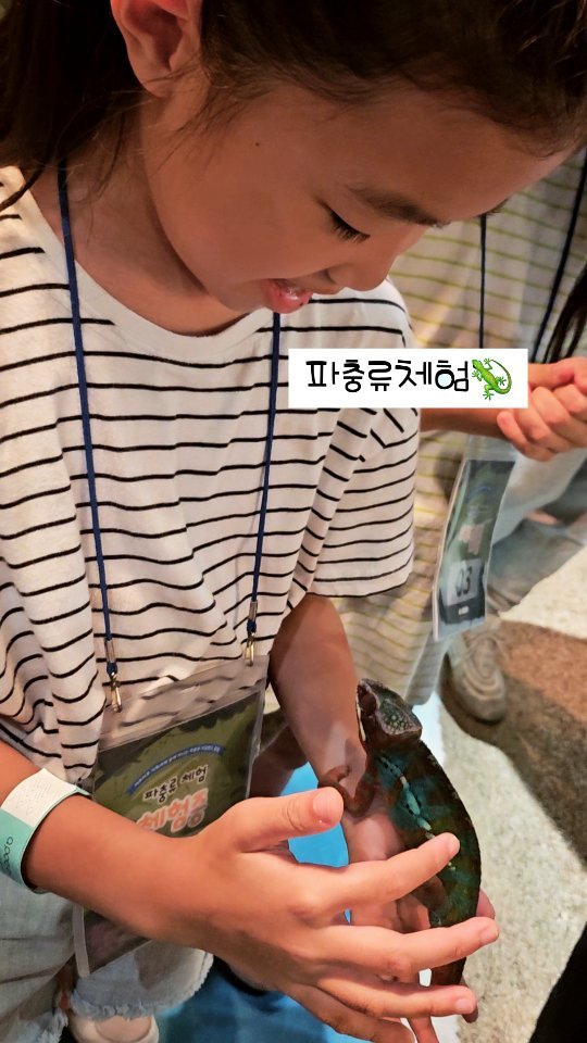 지난주말나들이🦎🐢
두번째 찾은곳🚩
금붕어 거북이 먹이주기체험
파충류체험
귀요미들이 넘쳐나는 곳
#파충류카페
#아이들신남 🤹‍♀️🤹‍♂️ 
#주말나들이 🎈
✔️수원어푸어푸