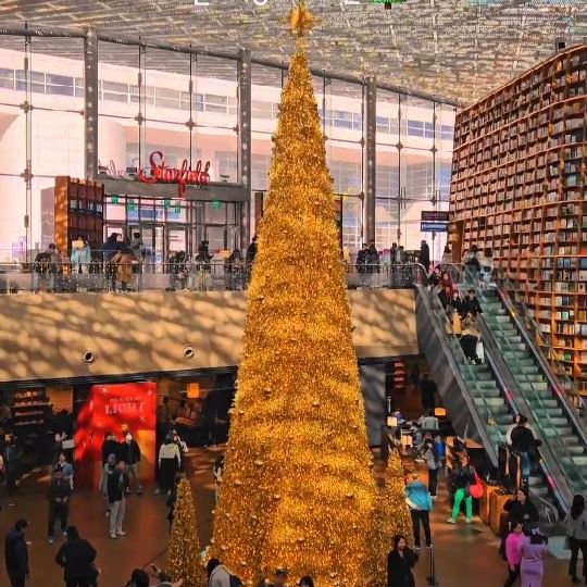 💚코엑스 별마당도서관
도서관이지만 책 읽는 사람보다 사진 찍는 사람이 더 많은 곳!

트리 하나뿐인데 왜인지 모르게 크리스마스 느낌 뿜뿜. 

#nov2023 #parad_서울 #별마당도서관 #코엑스
#Seoultravel