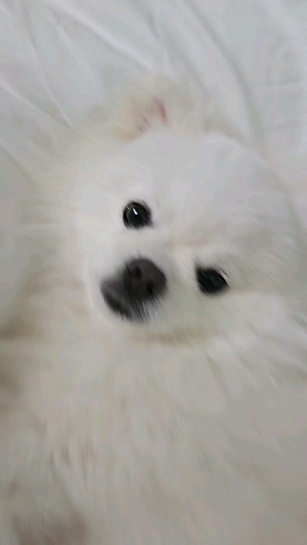 이거 어캐하는거냐 이렇게 하는거 맞냐
