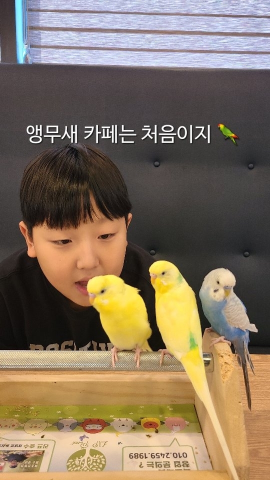 주말에 아이와 🦜 

앵무새 카페, 리플패럿!
새의 매력에 퐁당
먹이주고 손에 올려보고
함께 사진찍기 ✌️ 

1인 1시간 9.500원 음료1잔
(먹이 3,000별도)

🚩 리플패럿 청석공원점

리플패럿 검색 후 가까운 지점으로 방문하세요.