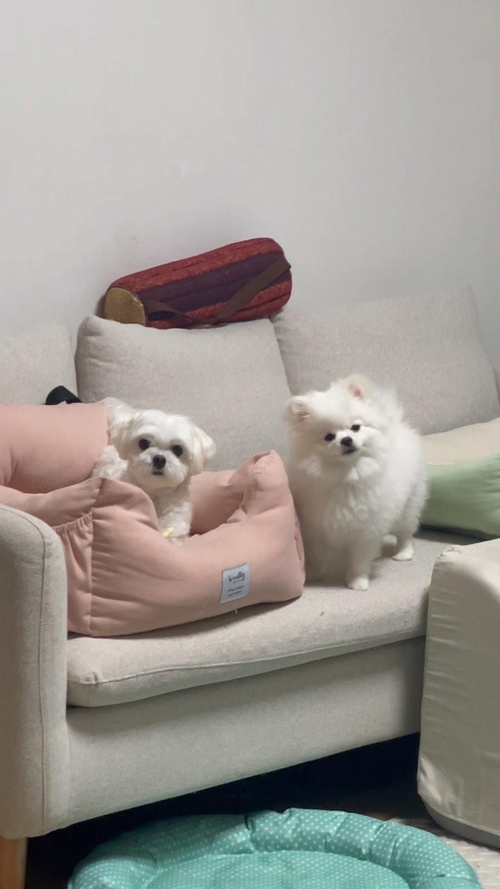 아니 엄마 뭐햎?