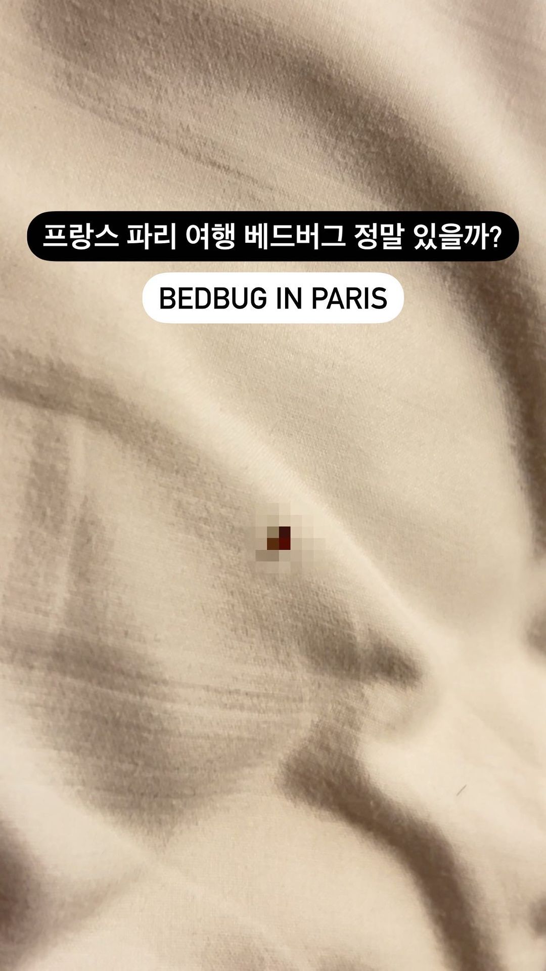 프랑스 여행 이대로도 안전한가?👇🏻
프랑스 파리 여행 마지막 날 호텔에서 베드버그를 발견했어요🤦🏻‍♀️
호텔에서 락스로 벽을 닦고 스팀으로 베드 청소하는 걸 눈으로도 직접 봤는데 말이죠
제가 물렸는지 피도 나더라고요ㅎㅎㅎㅎㅎㅎ
호텔도 안심하지 마시고 피부 예민하신 분들은 더더욱 조심하세요🙋🏻‍♀️
#파리여행#프랑스여행#빈대#베드버그#베드버그퇴치#베드버그예방#유럽여행#bedbugs#bedbug