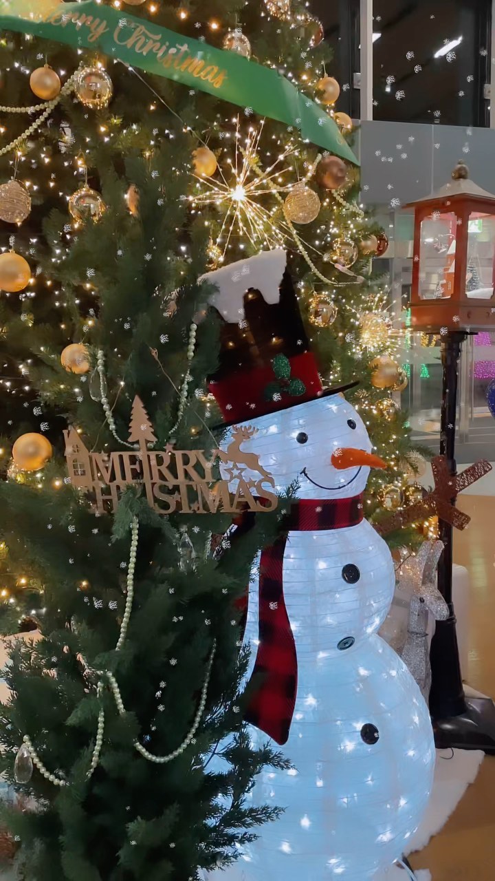Christmas is coming 🎄🤍