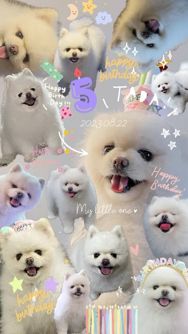 2023.08.22. 우리 하트 다섯번째 생일 축하해🤍