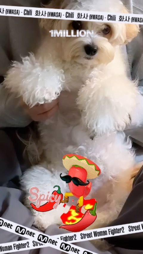 멍칠리 #스우파챌린지 #swfchallenge #칠리챌린지 #원밀리언 #chilichallenge_1million #chilichallenge #꼬상권보호🌶