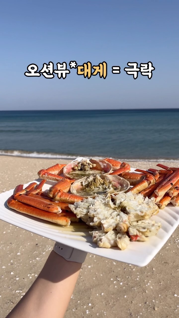 오션뷰가 예술인 대게 맛집 찾았서효🥹

여긴 대게가 진짜 미챴는데 양양에서 소문난 대게맛집이라구 해수 달려갔즄ㅋㅋㅋ 압도적인 게 크기에 푸짐한 살이 넘치구용;;ㅎ

너무 신선해서 게살이 완전 부드럽게 아스라짐 ㅠㅠㅠ 
통통해서 식감도 너무 좋구 스끼다시도 푸짐 그 잡채🥹
미무리로 대게라면,, 진짜 미챠요 ㅎㅎㅎ

스테이씨도 와서 킹정했다는 맛집은 역시 다른듯;;;;
선주직판이라 수율도 좋으니 맛난 대게잡이 하러 오시라능🤤

💋서핑크랩
💋강원 양양군 손양면 선사유적로 316-20 상가 1층 4호
💋10:00-21:00

#양양맛집 #양양대게맛집 #대게맛집 #양양여행코스 #양양여행맛집 #양양여행 #양양가볼만한곳 #라면맛집 #해산물맛집 #서핑크랩