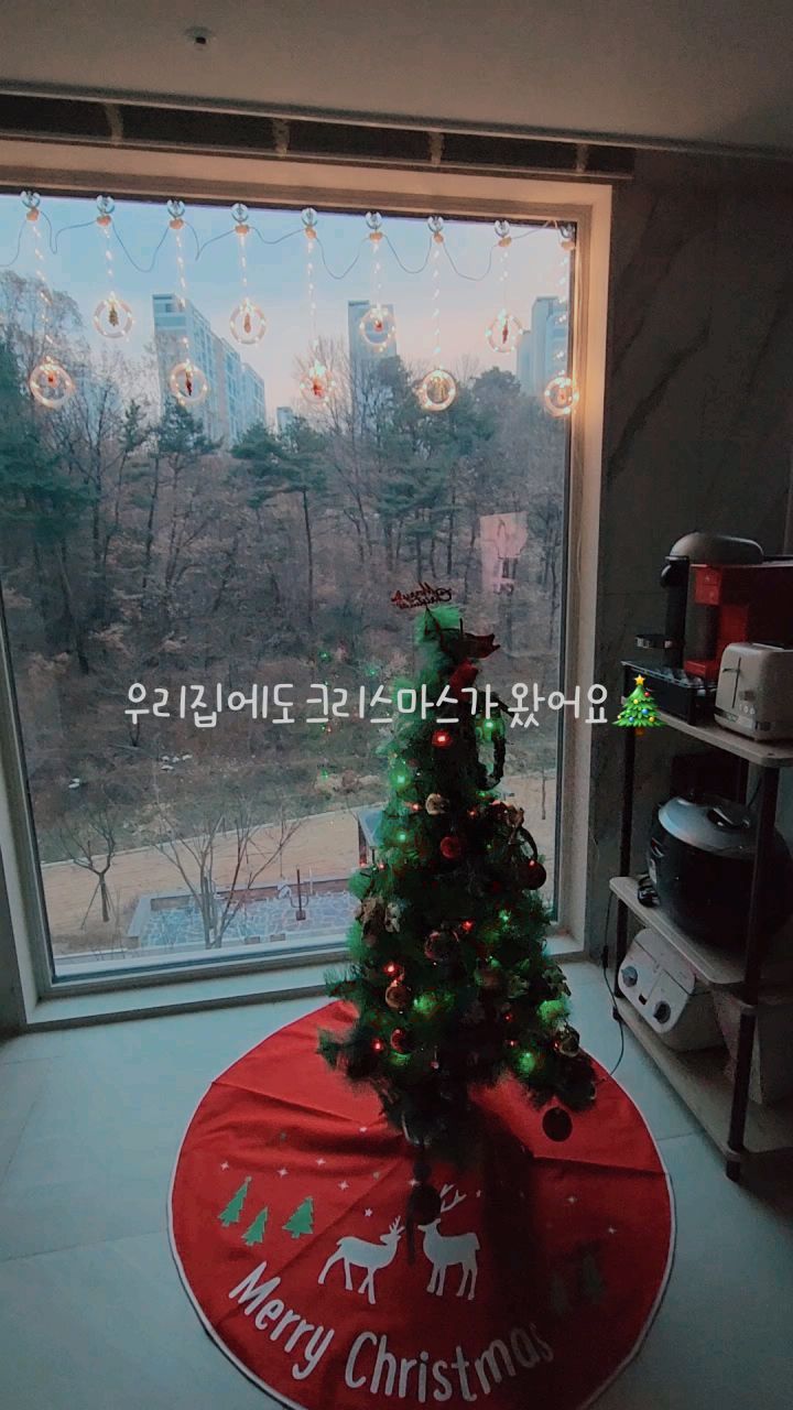 #2023크리스마스 #크리스마스준비 #계룡자이

올해는 더 멋진 크리스마스가 되길♡

#알리익스프레스직구는사랑입니다 
#다이소는사랑입니다
