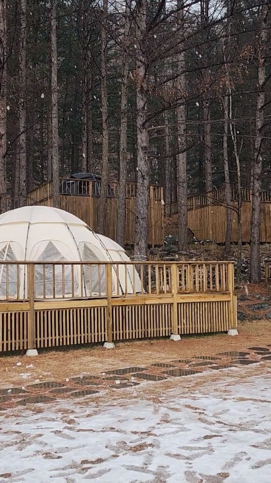 #캠핑 #🏕

캠핑장에서 맞이한 첫눈❄️☃️
3번째 방문한 휘게에서 힐링하기❤️

#평일캠 #휘게포레스트 #레트로스