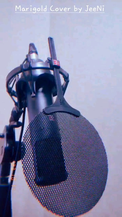 Marigold Cover
マリーゴールド 歌ってみた

#marigoldaimyon #marigoldcover #무기와라노 #마리골드 #마리골드커버 #マリーゴールド #cover #うたってみた #歌ってみた #koreancover #韓国 #韓国人
