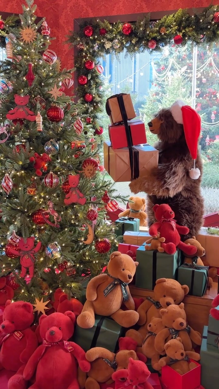 해리의 꿈의 상점🧸🎁

현대백화점 무역센터 입구에 가면
해리의 꿈의 상점과 함께 대형 트리가
놓여진 모습을 볼 수 있어요🎄

평일 낮에 방문해서 해리의 꿈의 상점에
웨이팅 없이 들어갈 수 있었는데 

트리와 호두까기 인형 사이로 
곳곳에 귀여운 곰돌이가 있어서
구경도 하고 사진 찍기도 좋았어요

지하 1층에서는 곰인형 해리를 포함한
10가지 다양한 기프트 상품도
구매할 수 있다고 해요!!

📍현대백화점 무역센터점
서울 강남구 테헤란로 517

#현대백화점 #현대백화점무역센터점 #해리의꿈의상점 #크리스마스 #서울 #서울가볼만한곳 #서울핫플레이스 #seoultravel #강남데이트 #trip #국내여행 #christmas