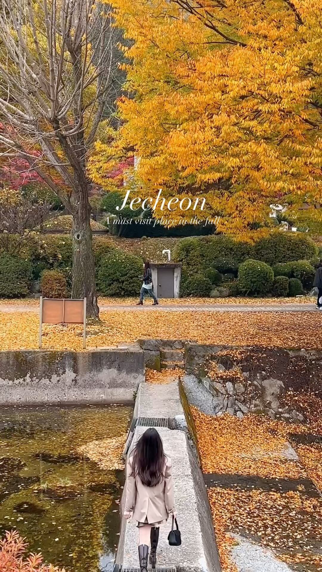 가을에 꼭 가봐야 할 단풍명소🍁

은행 , 단풍 둘 다 볼 수 있어 올 가을에 꼭 가보고 싶었던 배론성지! 

부지가 넓은 편이라 사람들이 많아도 한적하게 구경할 수 있는 곳 💛

성지순례객들도 많이 방문하는 곳이라 9시 오픈시간에 맞춰 가는걸 추천해요 🤍

📍배론성지
충북 제천시 봉양읍 배론성지길 296
운영시간 9a-6p
✔️입장료, 주차료 무료
(주차공간은 넓은 편이나 갓길 주차등이 불가능해 대기시간이 길 수도 있음)