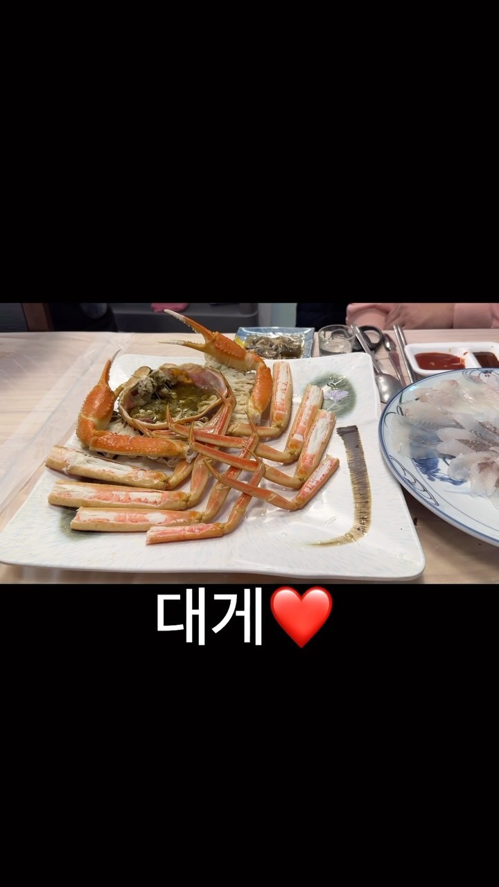 📍속초게랑회랑〰️강원 속초시 영금정로 15 속초게랑회랑
 
  사장님 짱 친절하시고 존맛탱이고 스끼다시 많고 호미랑 갔는데  이쀼다이뿌다 해주시고🫶 

 
 
 
 
 
 
 
 
 
#속초여행#반려견동반식당#속초애견동반#속초여행#강아지랑강원도#강원도강아지#속초강아지#동명항맛집#속초동명항#동명항애견동반#동명항반려견동반식당#속초반려견동반