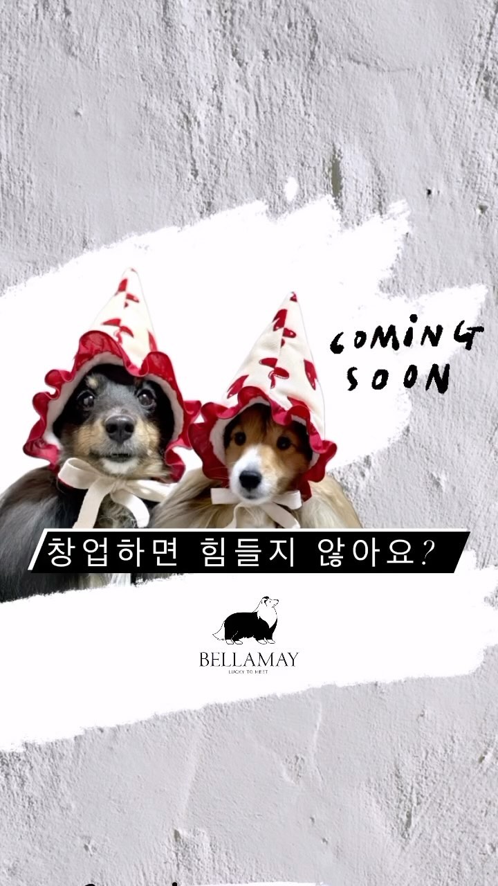 ⠀⠀⠀⠀⠀⠀⠀⠀
 ⠀⠀⠀⠀⠀⠀⠀⠀⠀⠀⠀⠀⠀⠀⠀ ⠀⠀⠀⠀⠀⠀⠀⠀⠀⠀⠀⠀⠀⠀⠀ 
어느덧 3년가까이 달려왔네요 많이 조언을 구하시더라구요.
멘토링을 하고 강의를 할때두요 , 일단 
애견창업 괜찮냐는 질문에 저는 yes라고 하고 싶어요 
다만 꾸준히 성장 하고 연구개발 하신다면요 라고 답을 ..ㅋ ♥️ 
물론 카테고리를 잘 보셔야 겠죵 💪🏻
내년상반기에 있을 #정부지원사업 도 노려보세요 
 ⠀⠀⠀⠀⠀⠀⠀⠀⠀⠀⠀⠀⠀⠀⠀ ⠀⠀⠀⠀⠀⠀⠀⠀⠀⠀⠀⠀⠀⠀⠀ 
힘들지 않냐구요? 처음 스타트 하면서 쉬운일이 있나요 ~ 
회사다니면서도 힘든데 내일 하면서 안힘들길 바라면 노우~ 
관련내용으로 궁금해하시는 분들 계시니 종종 정보도 올려드릴께요 🎄
 ⠀⠀⠀⠀⠀⠀⠀⠀⠀⠀⠀⠀⠀⠀⠀ ⠀⠀⠀⠀⠀⠀⠀⠀⠀⠀⠀⠀⠀⠀⠀ 
올해는 더 upgrade ‼️ 
아직도 잘 쓰고 있어요~ 라는 후기들이 일년뒤에도 
날아올때면 너머 뿌듯해요. 그렇게 만들면 재구매 안되는거 
아니냐 하신지만 벨라메이식구들은 ㅋㅋ같은 레드가 있어? 파여가지고 
ㅋㅋㅋㅋㅋ 방송때마다 피튀기는 전쟁을 하시더라구여? ㅋㅋㅋㅋㅋ
재밌기도 하고 감사하기도 하고 뭉클하기도 하지만 
더 잘해야겠다 다짐 하는 날들 입니다 
 
작년에도 매우아주매우 인기 터졌던 꼬깔 
미숙한 저는 갈고닦았..🥹 헤헤 그럼에도 
응원해주시고 기다려주시고 괜찮다 해주시며 
함께 걸어온 벨라메이 ♥️ 
 ⠀⠀⠀⠀⠀⠀⠀⠀⠀⠀⠀⠀⠀⠀⠀ ⠀⠀⠀⠀⠀⠀⠀⠀⠀⠀⠀⠀⠀⠀⠀ 
함께 곁에 머물러주셔서 함께 응원해주셔서 
또 함께 키워주셔서 감사해요 
 ⠀⠀⠀⠀⠀⠀⠀⠀⠀⠀⠀⠀⠀⠀⠀ ⠀⠀⠀⠀⠀⠀⠀⠀⠀⠀⠀⠀⠀⠀⠀ 
택배하나하나에도 마음을 쏟고 있어요 
지금처럼 성실하게 열심히 성장하는 길이 보답의길이죠?🔖
 ⠀⠀⠀⠀⠀⠀⠀⠀⠀⠀⠀⠀⠀⠀⠀ ⠀⠀⠀⠀⠀⠀⠀⠀⠀⠀⠀⠀⠀⠀⠀ 
곧 나오는 꼬까리들 기대해주셔도 좋아요 
꼬까리들 다나오고나면 이벤트 한번 할께요 ♥️♥️
 ⠀⠀⠀⠀⠀⠀⠀⠀⠀⠀⠀⠀⠀⠀⠀ ⠀⠀⠀⠀⠀⠀⠀⠀⠀⠀⠀⠀⠀⠀⠀ 
#벨라메이이야기 #벨라메이 #브랜드스토리 
#창업관련 #애견창업 #멘토링 #감사한마음 
#부산강아지 #멍스타그램 #댕스타그램