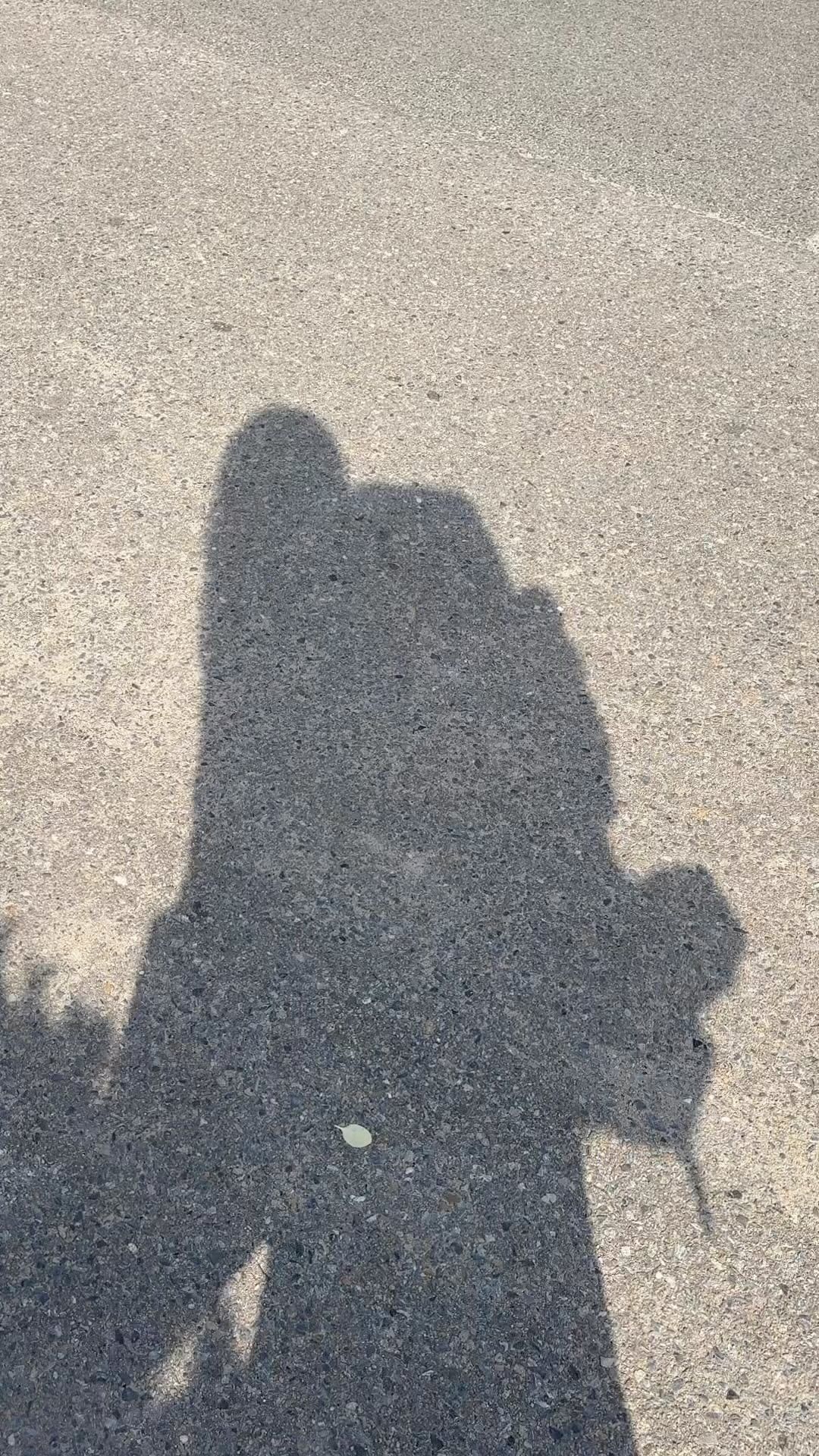 빼빼킹 버스 정류장 뷰 💙
