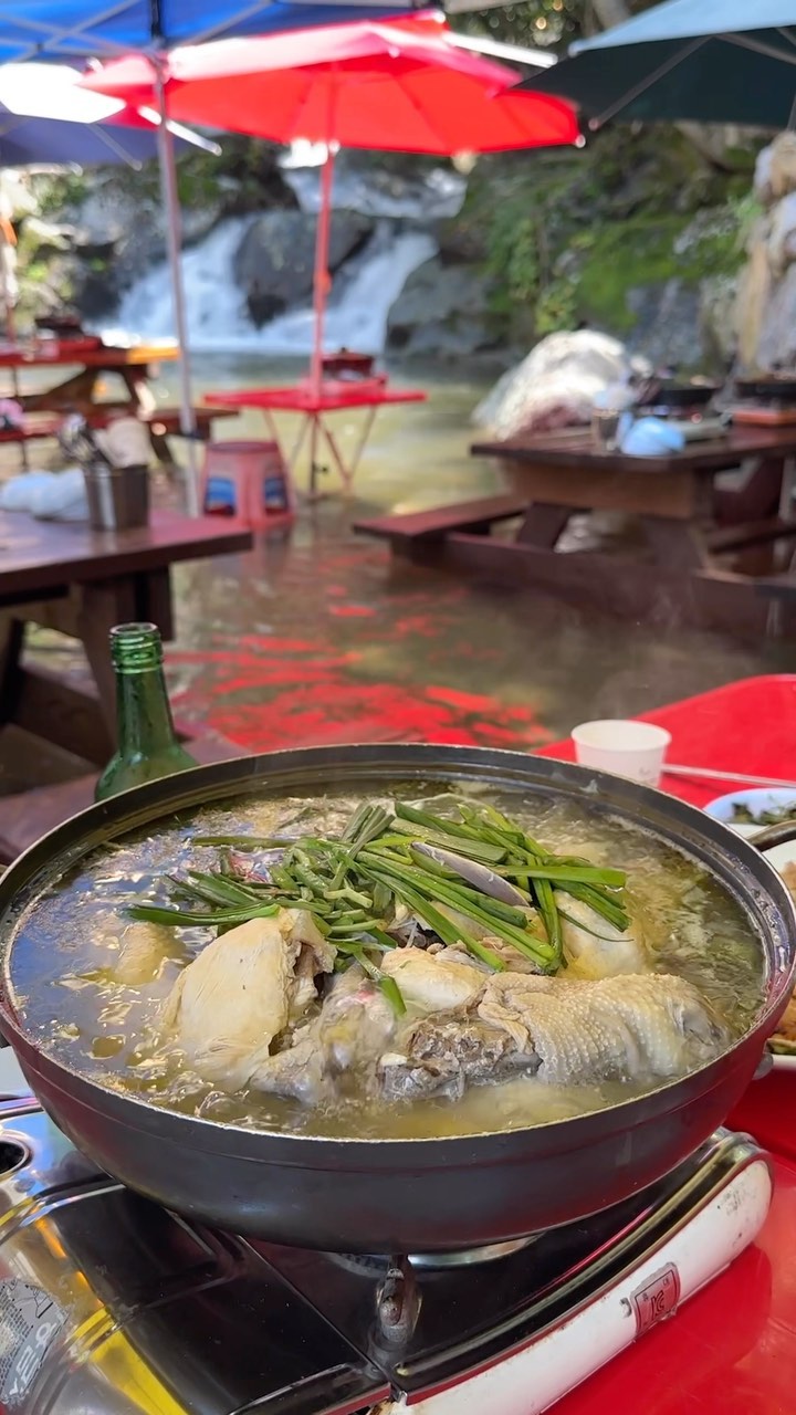장마 끝! 폭염 시작〰️🌞☀️💦

보기만해도 시원해지는 계곡식당
발 담구고 먹는 백숙은 말해뭐해..🩵

#축령산계곡가든
⠀⠀⠀⠀⠀⠀⠀ 
⠀⠀⠀⠀⠀⠀⠀⠀⠀⠀⠀⠀⠀⠀⠀⠀⠀