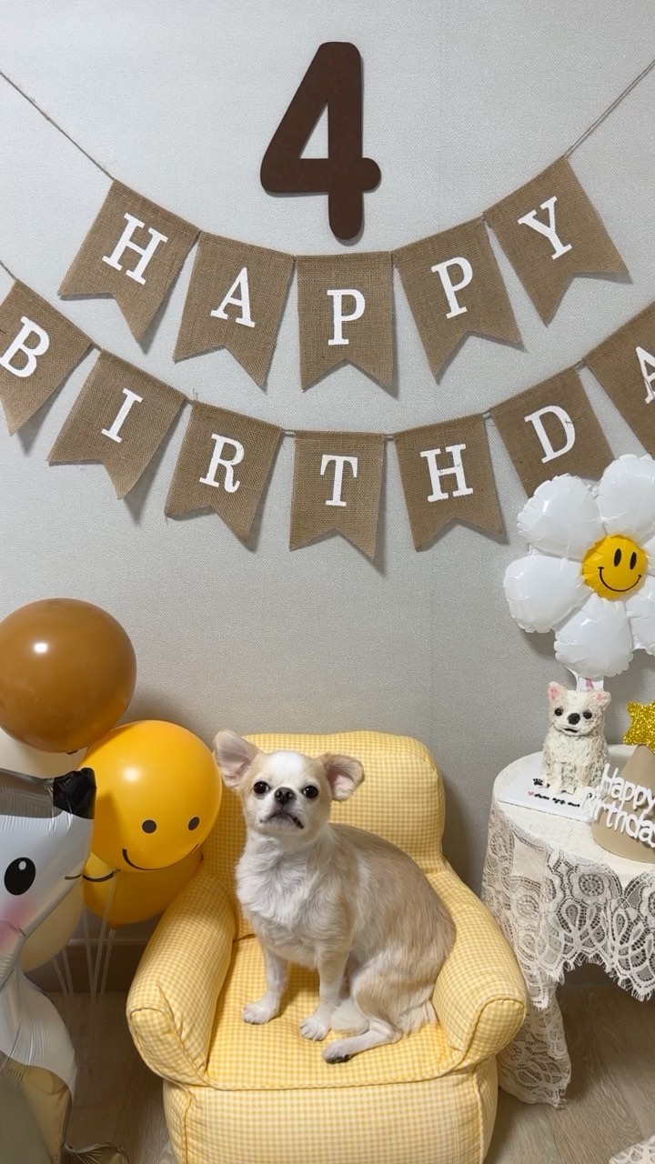 𝙷𝚊𝚙𝚙𝚢 𝚋𝚒𝚛𝚝𝚑𝚍𝚊𝚢 𝚝𝚘 𝚢𝚘𝚞♡̆̈
만두야 사랑해