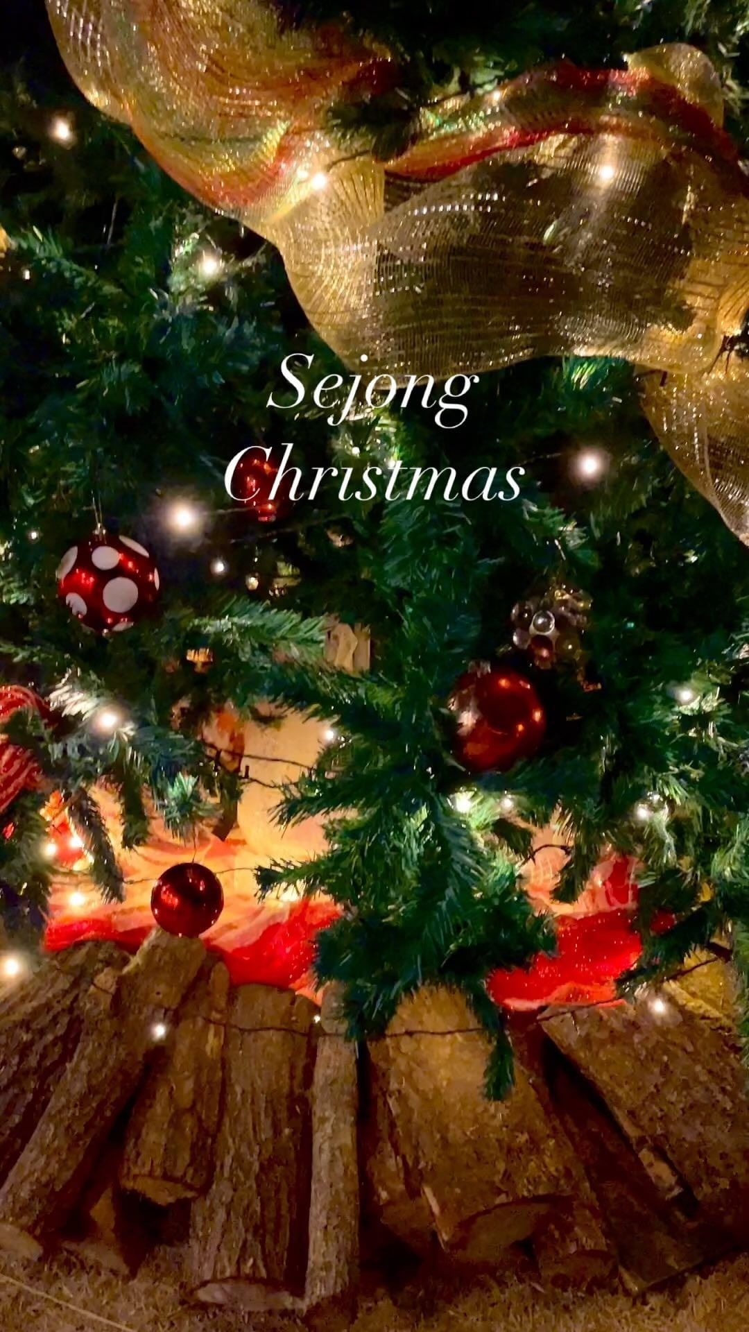 트리 맛집 세종 #아크커피 🌲✨
크리스마스 데이트 코스로 추천드려요🤎

☕️아크커피
▫️주소: 세종 장군면 월현윗길 38-15
▫️영업시간: 11:00~21:00
▫️주차장 있음
▫️아기의자 있음