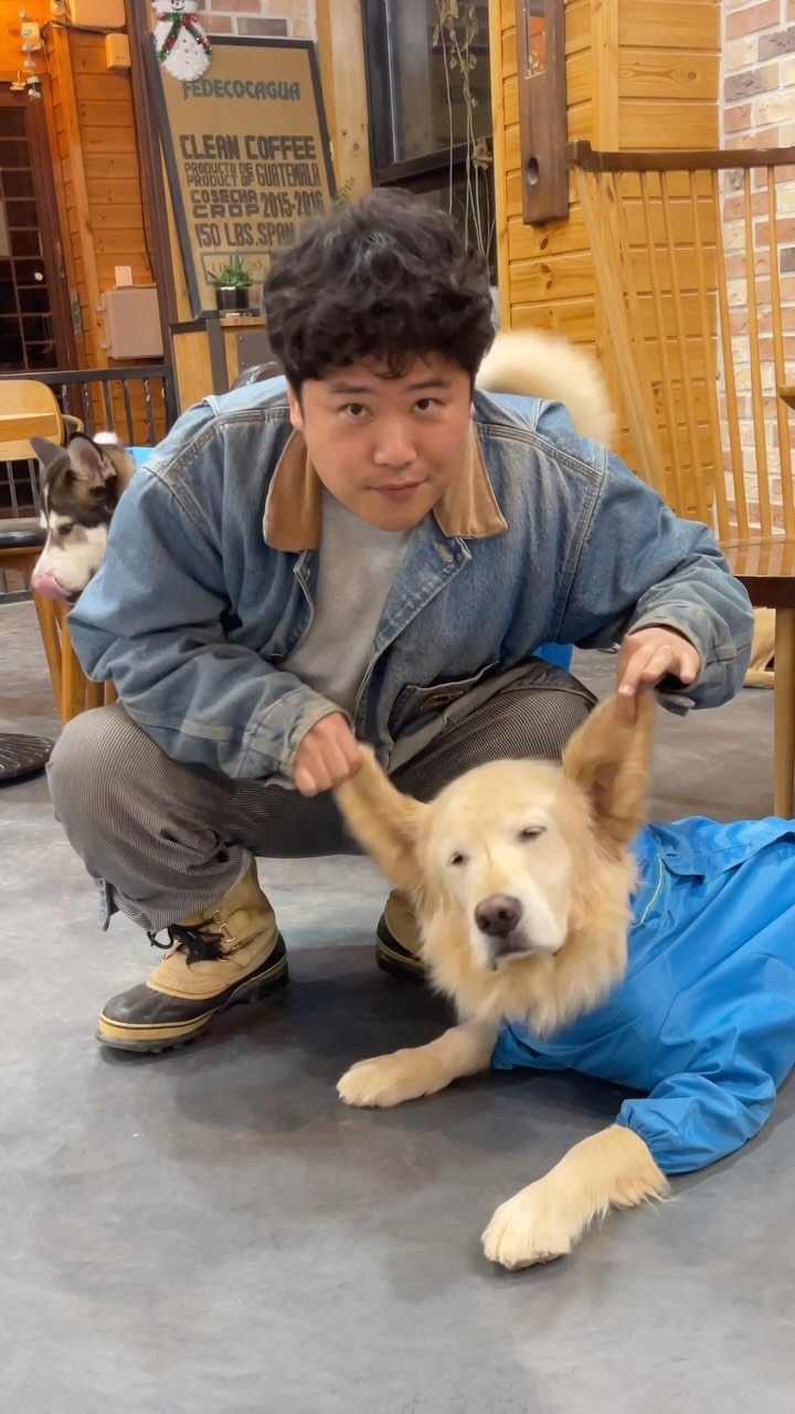 세상에서 가장 깨끗한 골든리트리버
The cleanest golden retriever in the world

#골든리트리버 #귀여운강아지 #goldenretriever #cutedog #이누인 #대전애견카페 #공주애견카페