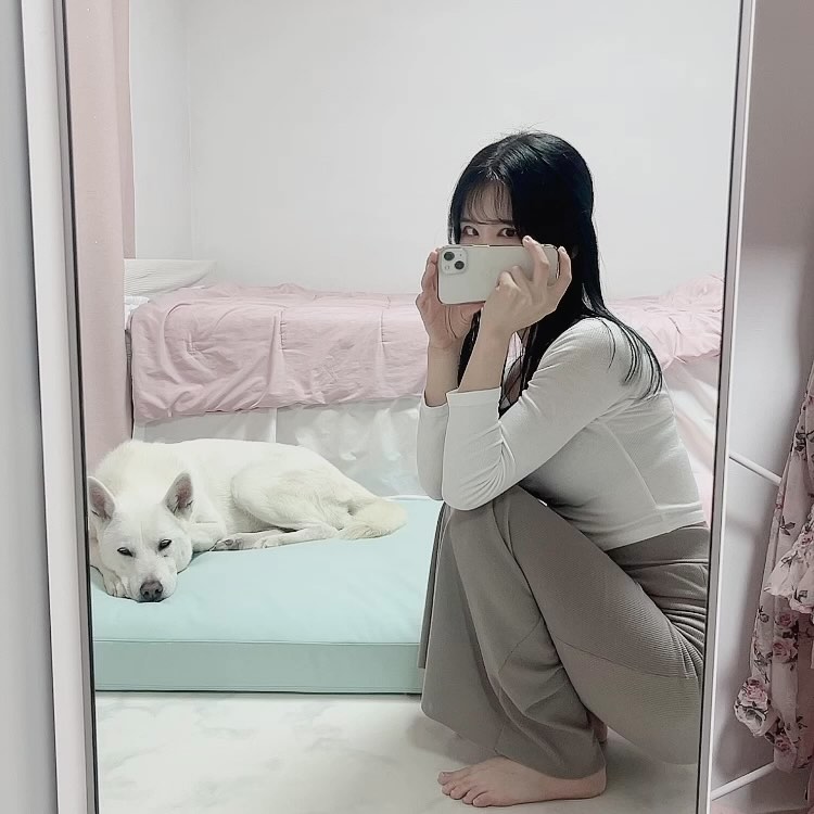 솜이랑