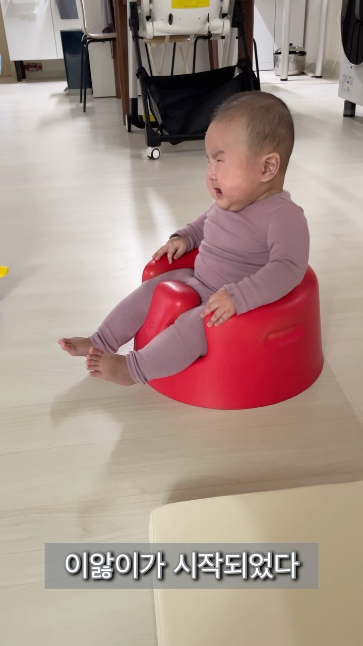 이앓이 조짐이 슬슬보였다...
1. 새벽에 갑자기 두세번깨서 운다
2.침을 많이흘린다
3.손을 자꾸 입에 넣고 잘근잘근 
4.잇몸을 보면 아랫잇몸이 통통하니 변함

이외에도 다른변화가 보였는데ㅠㅠ
이앓이할때 과증망에 분유를 얼려주거나 치발기를 차갑게해서 주면 좋다하는데 안아주면 거의 바로 그쳐서 꺼낼일이없넹ㅅ...^^
치아가 다 나는 그날까지 서인이 화이팅!!
나도 화이팅🫠

#이앓이 #5개월아기 #토끼띠아기 #토끼띠맘소통 #남매맘일상