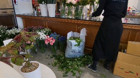 #플로리스트 아름다운 직업 아니에요~
플로리스트 분들이라면 다들 공감하는 쓰레기 정리 짤😉 그래도 오늘은 이정도네요 (평소엔 더 많음! 매일 쓰레기와 싸움중!) 도구보다 손이 편해요^^ 예전엔 다 맨손으로 했는네 요즘은 그래도 장갑은 낍니다 :)
.
.
바닥부터 시작했는데 10년 넘어두 아직 바닥🤣
#화이팅 #꽃집 #꽃집일상
