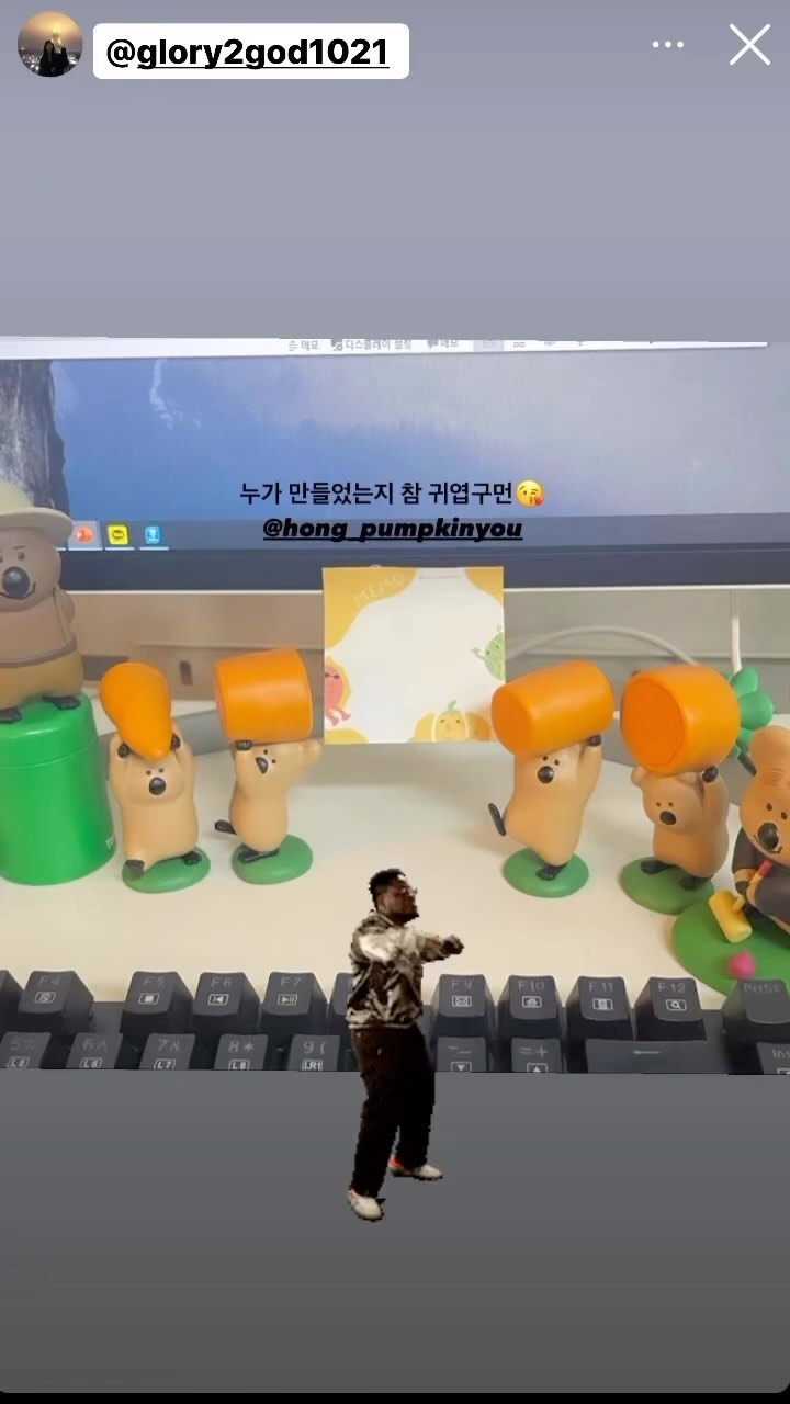 홍박유 포스트잇과 스티카 모음zip
#홍박유 포스트잇과 스티커가 탐난다면?!
#홍박유스마트스토어 혹은 DM 문의 부타케~🍂