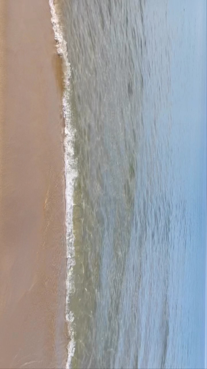 콘텐츠