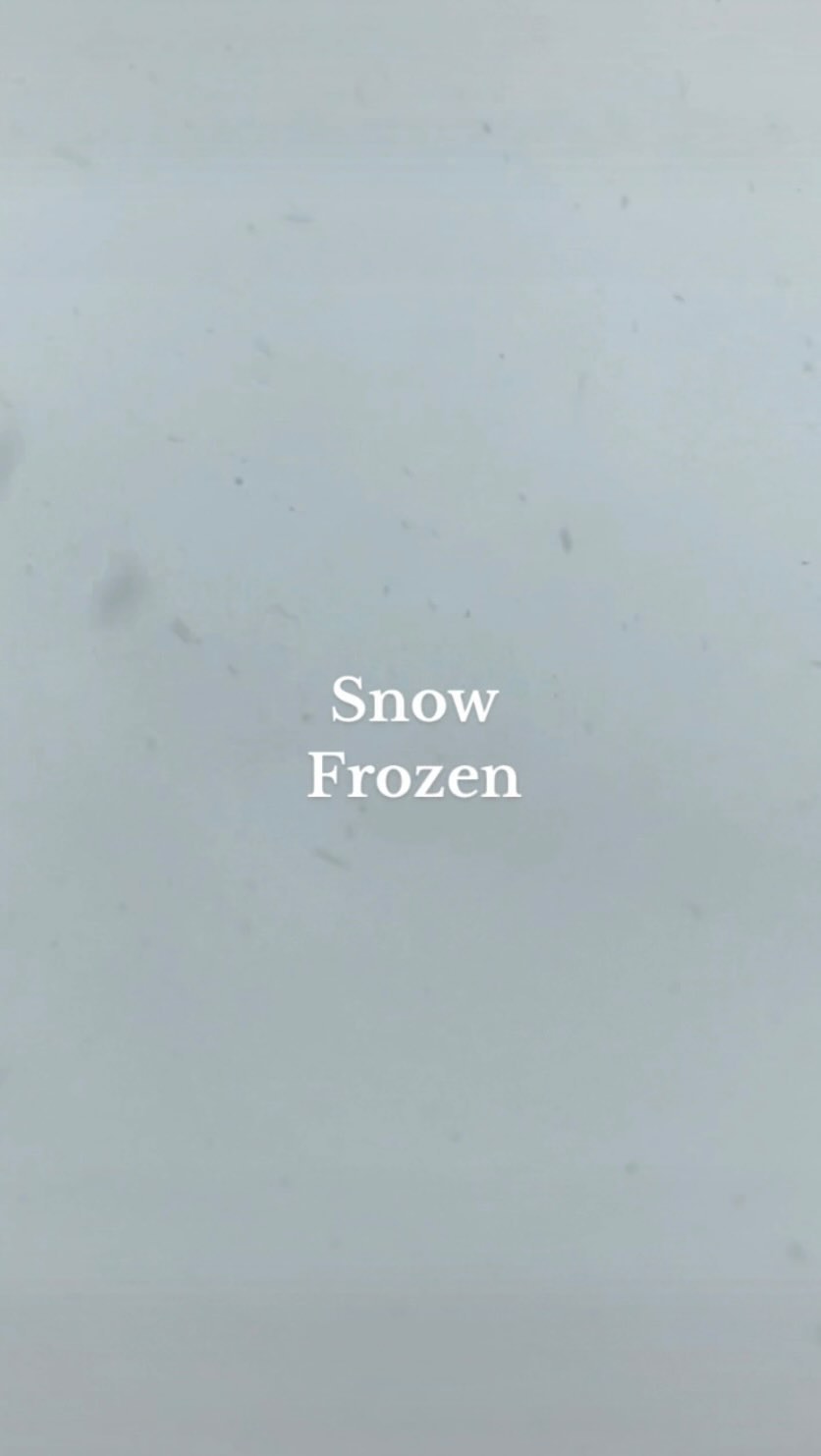 눈이다❄️❄️❄️🎄❄️❄️❄️ 

#눈 #눈온다 #snow