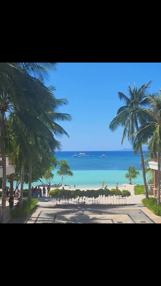 찐찐부부의 여행기록 2탄 🏝
2023.08.02-06 BOHOL

🎁이곳에서 소중한 쁘띠를 데리고 왔습니당🙈