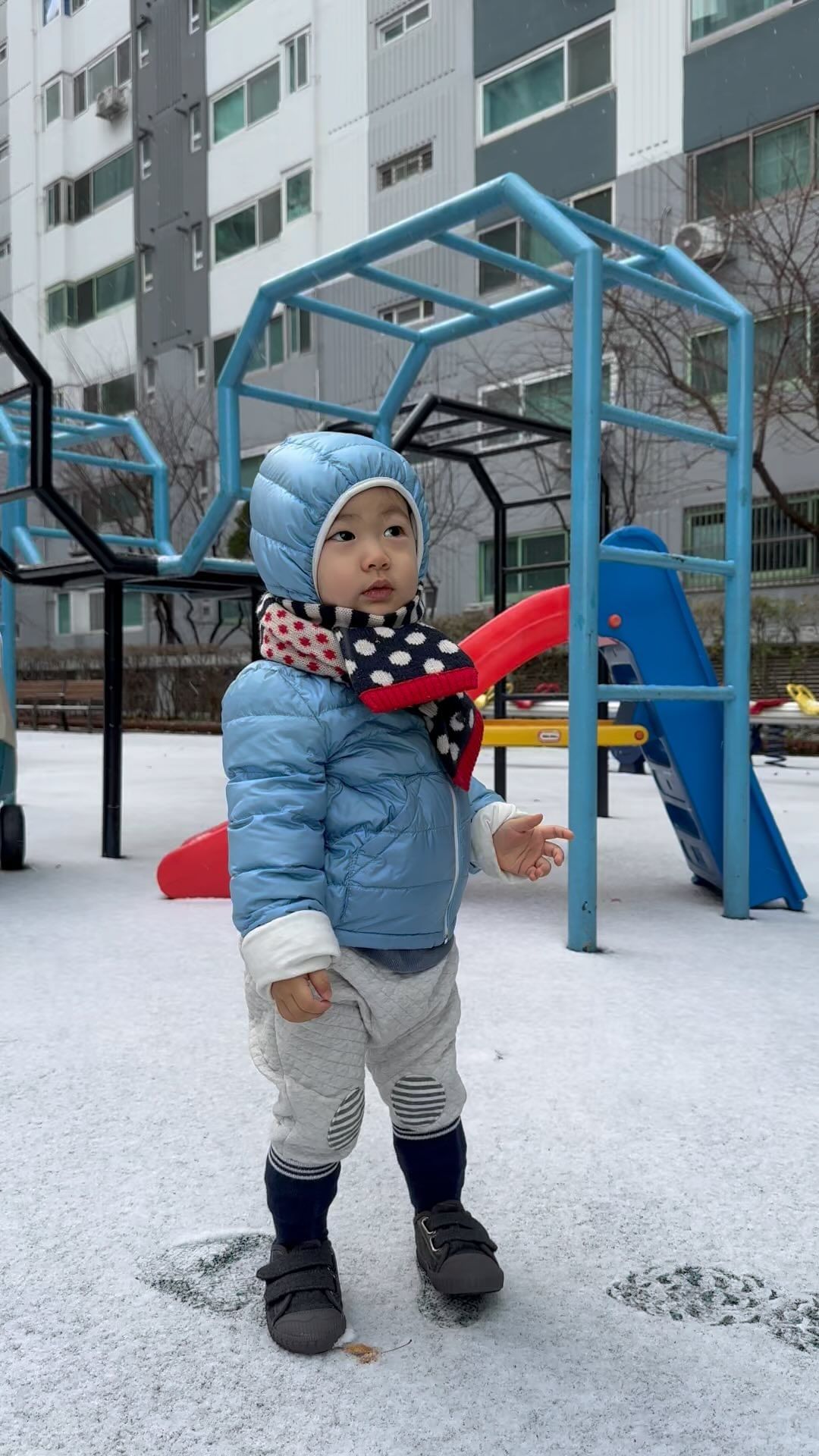 설국열차
삿뽀로게섯거라
#전주여행
#첫눈
#기차는계란
#삿뽀로여행