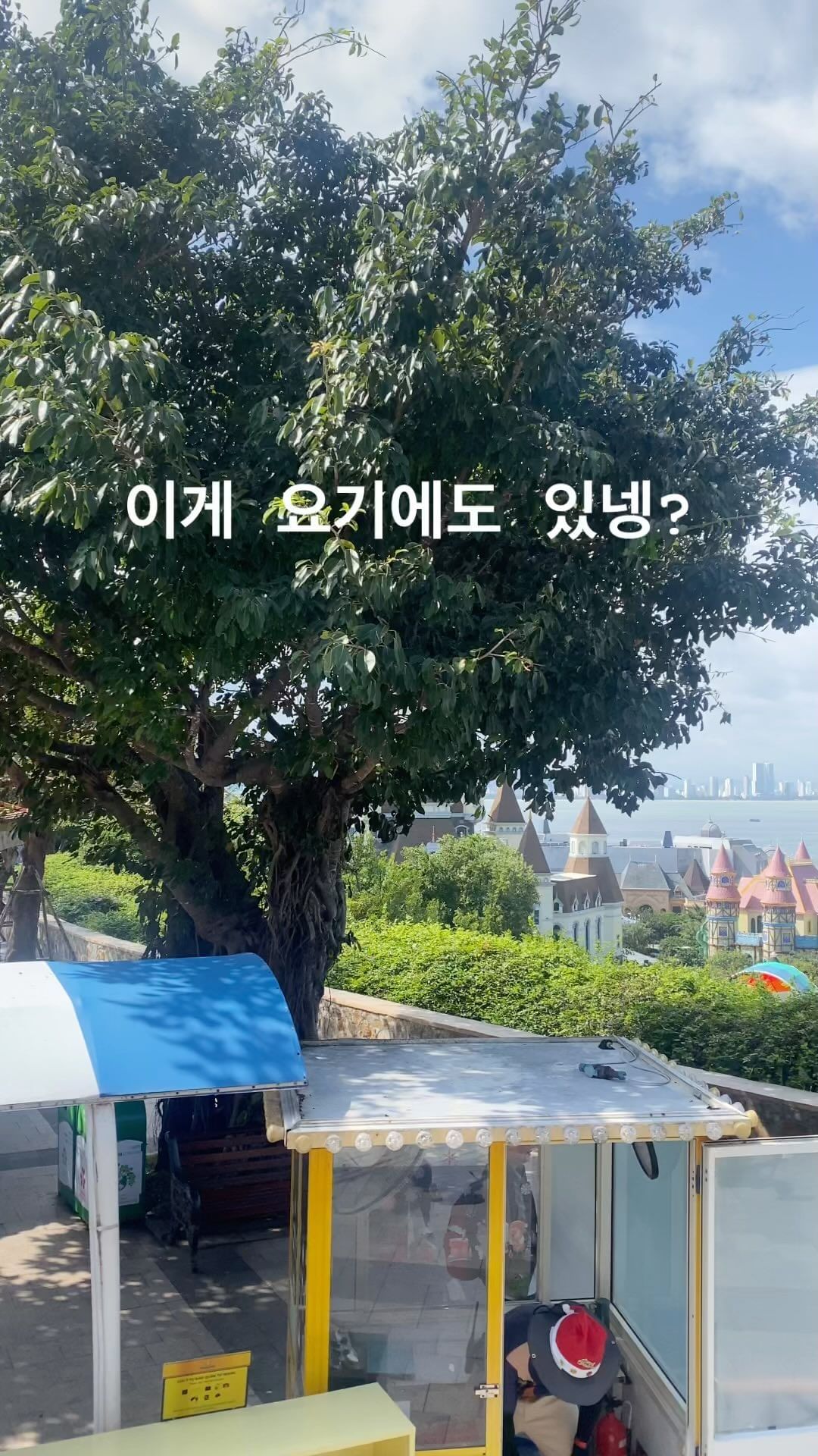 어지러워 빙빙🤩