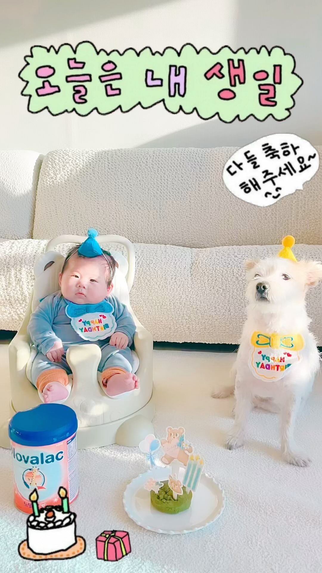 자두는 엄마표 케이크
우주는 노발락 AR💙

뒤집기 준비하면서 다시 토쟁이로
돌아와도 엄마는 무섭지 않아🤸🏻‍♀️

자두야 생일축하해💛
할미집에서 한달만 호강 하고 있어
엄마는 자두 털 줍줍 하며 광광 우는줄알어..

#노발락 #노발락AR #분유추천 #애개육아
#토쟁이 #토쟁이아들 #아기분유 #강아지생일
#강아지생일상 #귀여운짤 #아기와강아지
#아기와강아지가사는집