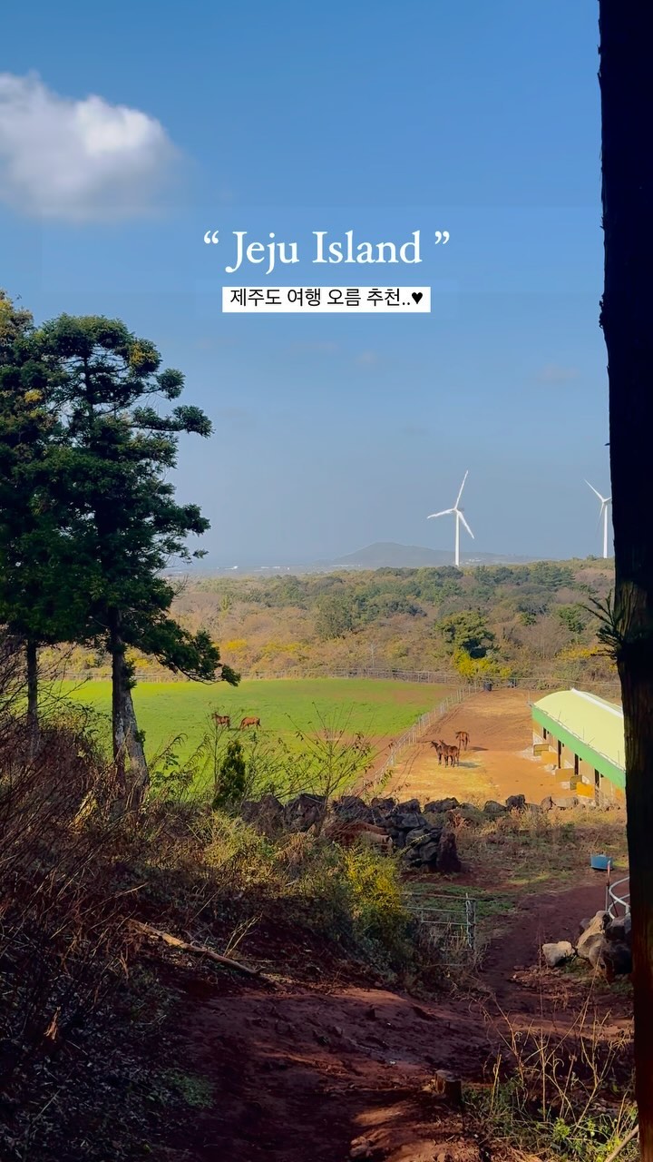 제주도 서쪽 천국같은 오름 추천 ☁️🤍 스토리 올리자마자 DM 엄청 왔던 곳 .ᐟ.ᐟ 

📍문도지오름
제주특별자치도 제주시 한립음 금악리
올라가는 길이 험난해서 초보 운전에게는 난이도 상이고, 비 오는 날엔 거의 올라갈 수 없을 정도로 힘든 곳이에요. 명성목장이 앞에 있고 개인 사유지지만 개방해 주어 울타리를 지나면 보이는 오름 ⛰️

가는 길에 말들이 자유롭게 지나다니고 순해서 사진 찍기에도 넘 좋았던.. ♥ 행복하다 말이야 🐎

오름에 올라가는 길은 5분 정도? 면 충분하고 높지 않아 편하게 갈 수 있어요. 도착하면 드넓은 자연 풍경에 놀라고! 멍하니 숲 멍때리기 가능 🍃 평일에 가면 사람도 거의 없어 너무 좋았어요. 제주 여행 하는 분들에게 꼭 추천 드리고 싶은 곳 ✨

#제주도오름 #문도지오름 #제주도오름추천 #오름 #제주여행코스 #릴스 #reels #jejuisland #réel #reelsinstagram