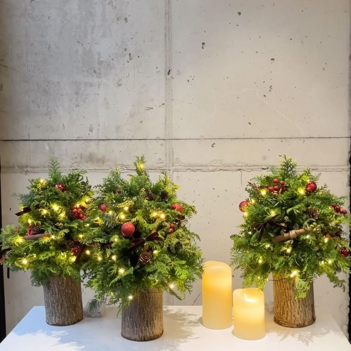 크리스마스트리 원데이 클래스🎄
찐 대만족! 트리 모양부터 오너먼트, 조명까지 전부 완벽했던 수업👏🏻

📌 후암동 꽃집 블룸바이진
서울 용산구 후암로28나길 23 2층

꽃과 함께 와인도 같이 판매하는데, 와인 가격대가 엄청 높지는 않아서 부담스럽지않은 합리적인 가격에 구매하실 수 있어요. 그리고 클래스 하는 공간도 너무 예쁜 후암동 꽃집입니다.