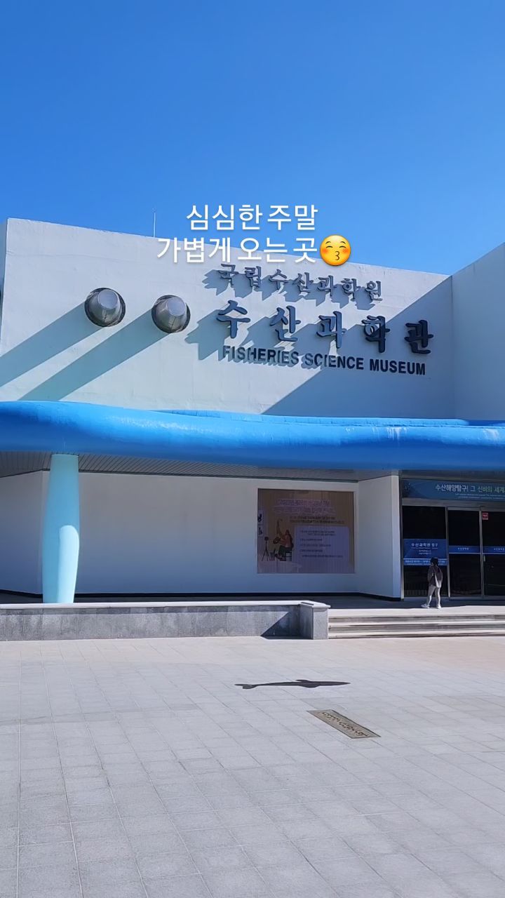 #국립수산과학관

집에서 멀지 않아 자주 오는 곳
주말에도 북적이지 않고 주차비, 입장료도 없으니 굿👍
아이들이 즐기수 있는 체험도 있고 작은 아쿠아리움과 매점에서 놀이방시설이 있으니 가볍게 가기 딱 좋지ㅎ
매점에서 잉어밥을 얼마나 사는지.. 따로 사야하나 고민..🤔

간식 챙겨가 벤치에서 먹었더니 소풍온것 같다며 좋아하는 하윤이❣️

#주말어디가지