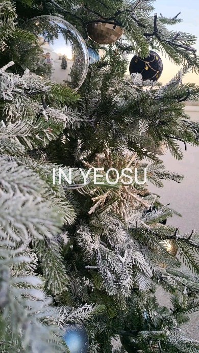 -
📷  2023. 12. 23

🐻큰혹이랑 같이 구경~ 
애들 없이 단둘이는 오랜만이었던🤭
(영상엔 거의 트리앞 연행🤣)
달+노을+트리는 너무 예뻤어요♡
실내 트리도 예쁘더라구요🎄
 크리스마스 잘보내세요~

📍모이핀 스카이점
전남 여수시 돌산읍 무술목길 59 1