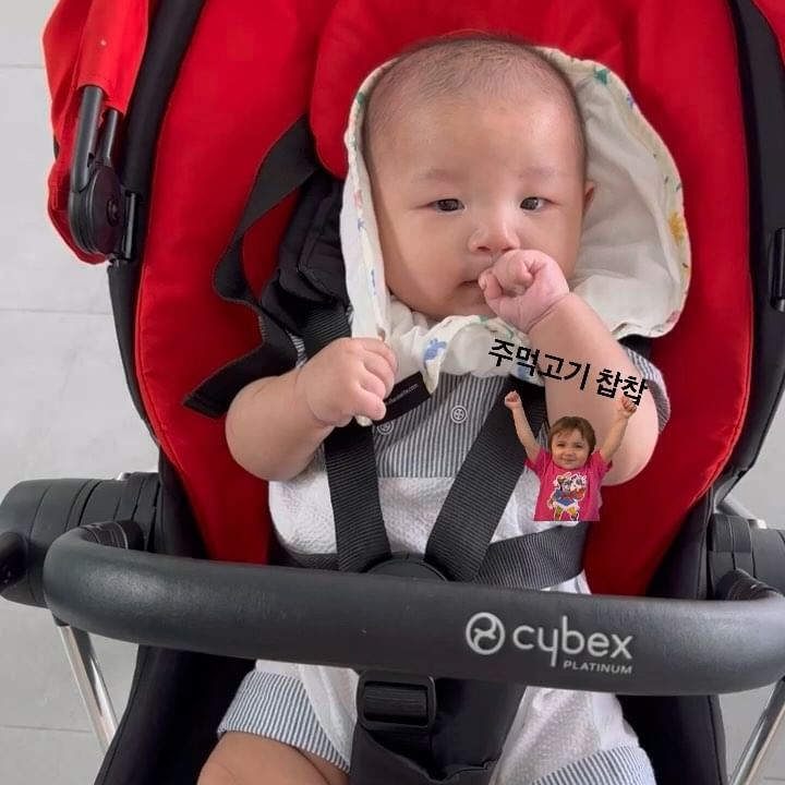 주먹고기가 최고😁