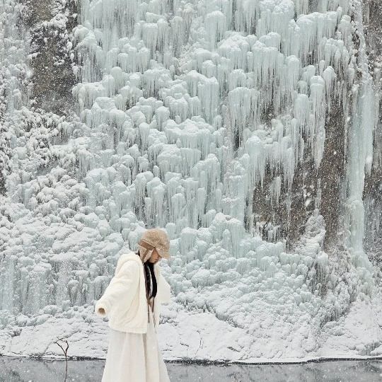 실시간 눈내리는 빙벽카페 원주 #스톤크릭 ❄️
빙벽의 최고봉이라고 불리우는 원주 스톡크릭 카페에
현재 함박눈이 쏟아지고 있어요!!!!🤍❄️

들어가는길, 제설이 안되어 있어서 조금 위험하긴 하지만
실시간으로 빙벽에 쌓여가는 눈만 보고 있어도 
완전 힐링이라구요🥹🫶🏻

PS. 강원도 원주기준 폭설이라 모두들 안전운전하세요🚗 

🏷 @oh.150 계정을 팔로우하시면 최신 여행 정보들을 발빠르게 보실 수 있어요🫶🏻

📍원주 카페 스톤크릭 @stonecreek_ae32 
▪️10:30 - 20:00 (매일)
▪️강원 원주시 지정면 지정로 1101
▪️23년12월30일 촬영했어요📸

#윤정_원주 #윤정_강원도 #강원도여행 #원주여행 #원주가볼만한곳 #원주카페 #빙벽카페 #빙벽 #koreatrip