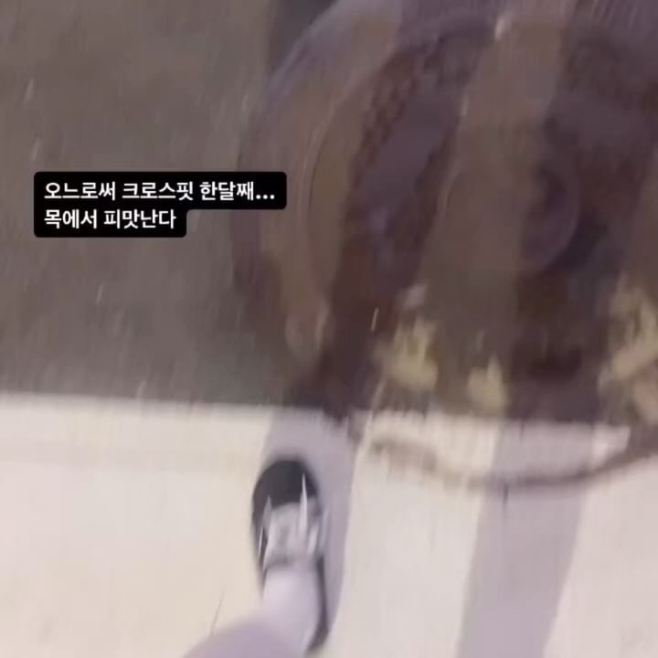 스토리 모아보기🖊️