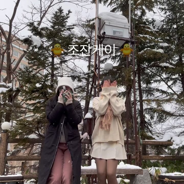 조잔케이의 병아리 시켜줘(오리?🦆)

#릴스 #여행릴스 #훗카이도릴스 #삿포로릴스 #조잔케이 #스스키노 #일본여행 #일본여행
