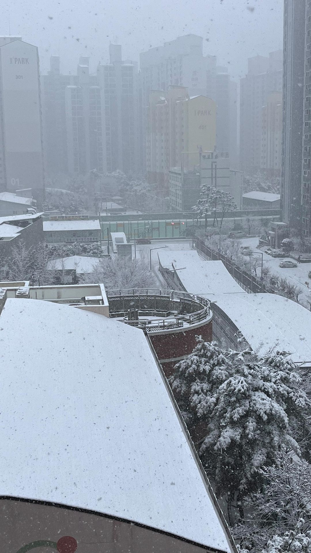 눈이 정말 많이 내려용!!! 오늘 맛집탐방 가려구 했는데 집에서 쉬다가 카페 가야겠네용ㅎㅎ우리 먹스타그램 이웃님들도 다치지 말구 조심히 다녀오세요🫶🏻🫶🏻🫶🏻

#서울실시간 #실시간 #눈 #먹스타그램 #snow