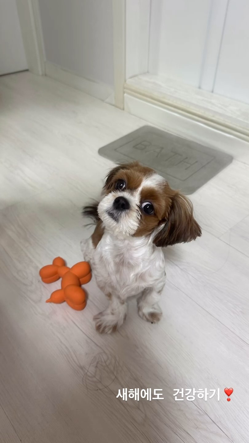 새해에도 건강하고 행복하기❣️